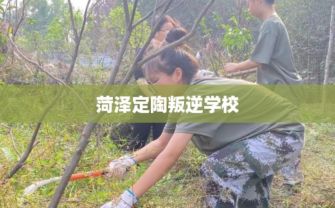 菏泽定陶叛逆学校