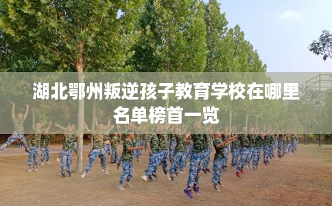 湖北鄂州叛逆孩子教育学校在哪里名单榜首一览