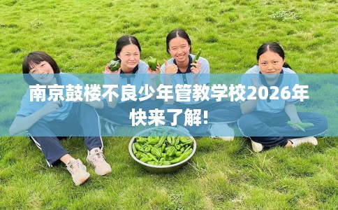 南京鼓楼不良少年管教学校2026年快来了解! 南京鼓楼不良少年管教学校2026年快来了解!