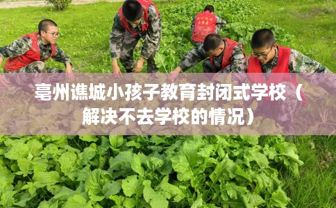 亳州谯城小孩子教育封闭式学校（解决不去学校的情况）
