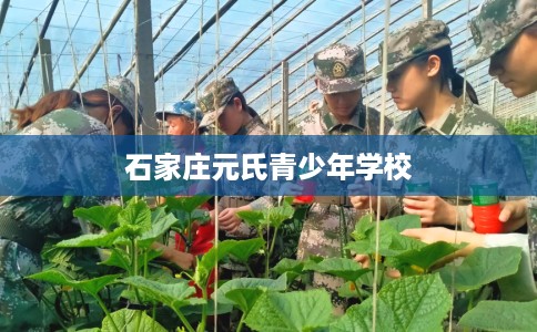 石家庄元氏青少年学校 石家庄元氏青少年学校