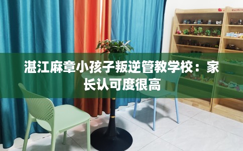 湛江麻章小孩子叛逆管教学校：家长认可度很高