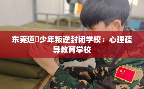 东莞道滘少年叛逆封闭学校:心理疏导教育学校 东莞道滘少年叛逆封闭学校:心理疏导教育学校