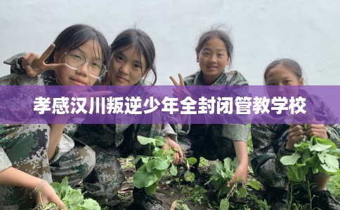 孝感汉川叛逆少年全封闭管教学校 孝感汉川叛逆少年全封闭管教学校