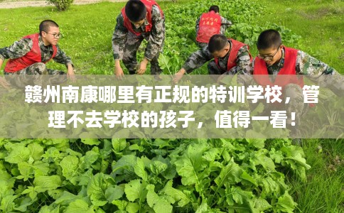 赣州南康哪里有正规的特训学校，管理不去学校的孩子，值得一看！