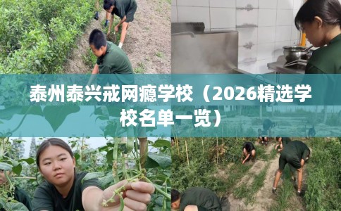 泰州泰兴戒网瘾学校(2026精选学校名单一览) 泰州泰兴戒网瘾学校(2026精选学校名单一览)