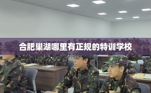 合肥巢湖哪里有正规的特训学校