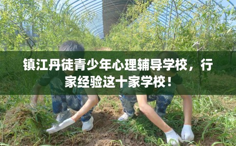 镇江丹徒青少年心理辅导学校,行家经验这十家学校! 镇江丹徒青少年心理辅导学校,行家经验这十家学校!