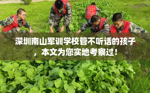 深圳南山军训学校管不听话的孩子,本文为您实地考察过! 深圳南山军训学校管不听话的孩子,本文为您实地考察过!