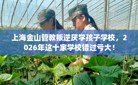 上海金山管教叛逆厌学孩子学校,2026年这十家学校错过亏大! 上海金山管教叛逆厌学孩子学校,2026年这十家学校错过亏大!