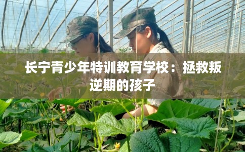 长宁青少年特训教育学校:拯救叛逆期的孩子 长宁青少年特训教育学校:拯救叛逆期的孩子