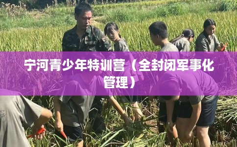 宁河青少年特训营(全封闭军事化管理) 宁河青少年特训营(全封闭军事化管理)