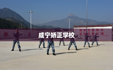 咸宁矫正学校 咸宁矫正学校
