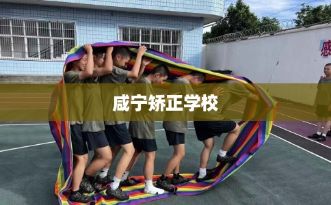 咸宁矫正学校 咸宁矫正学校
