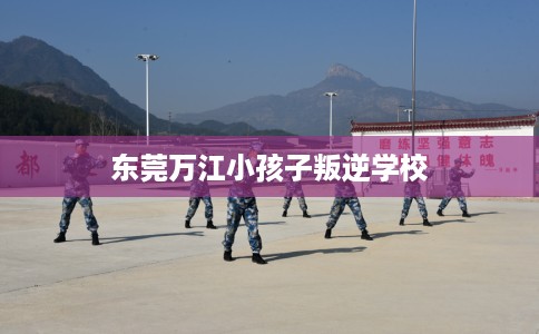 东莞万江小孩子叛逆学校 东莞万江小孩子叛逆学校