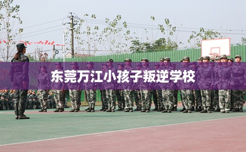 东莞万江小孩子叛逆学校 东莞万江小孩子叛逆学校