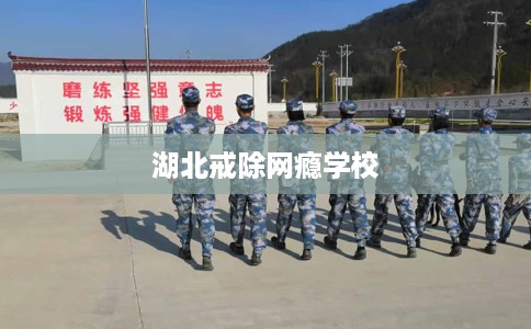 湖北戒除网瘾学校 湖北戒除网瘾学校