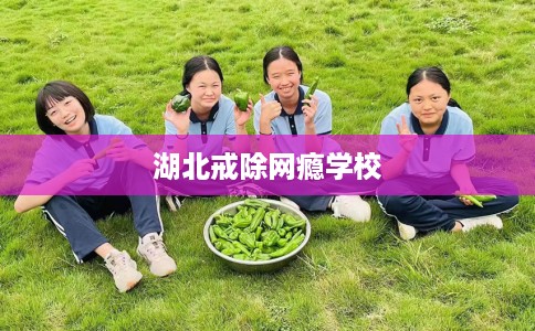 湖北戒除网瘾学校 湖北戒除网瘾学校