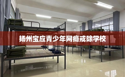 扬州宝应青少年网瘾戒除学校 扬州宝应青少年网瘾戒除学校