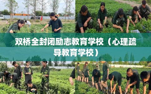 双桥全封闭励志教育学校（心理疏导教育学校）