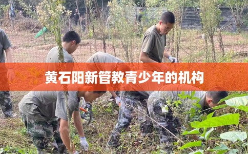 黄石阳新管教青少年的机构
