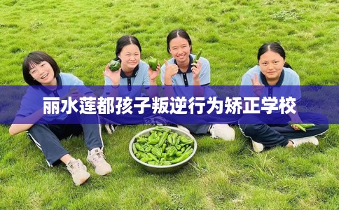 丽水莲都孩子叛逆行为矫正学校