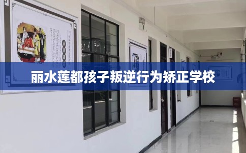 丽水莲都孩子叛逆行为矫正学校