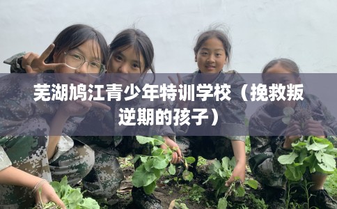 芜湖鸠江青少年特训学校（挽救叛逆期的孩子）