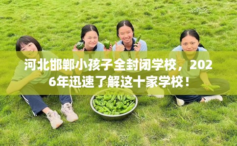 河北邯郸小孩子全封闭学校，2026年迅速了解这十家学校！