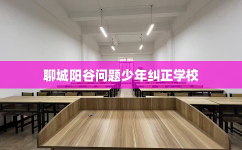 聊城阳谷问题少年纠正学校