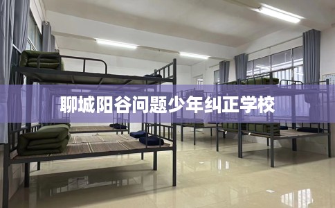 聊城阳谷问题少年纠正学校