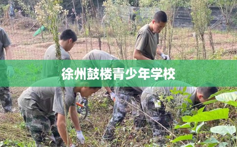 徐州鼓楼青少年学校 徐州鼓楼青少年学校
