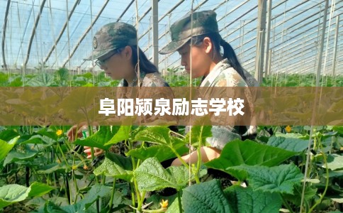 阜阳颍泉励志学校