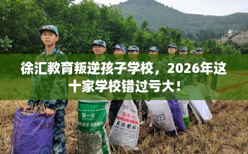 徐汇教育叛逆孩子学校,2026年这十家学校错过亏大! 徐汇教育叛逆孩子学校,2026年这十家学校错过亏大!
