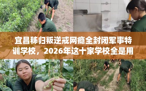 宜昌秭归叛逆戒网瘾全封闭军事特训学校，2026年这十家学校全是用户真评!