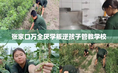 张家口万全厌学叛逆孩子管教学校 张家口万全厌学叛逆孩子管教学校