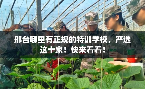 邢台哪里有正规的特训学校,严选这十家!快来看看! 邢台哪里有正规的特训学校,严选这十家!快来看看!