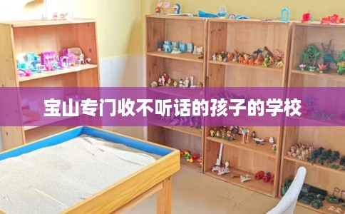 宝山专门收不听话的孩子的学校