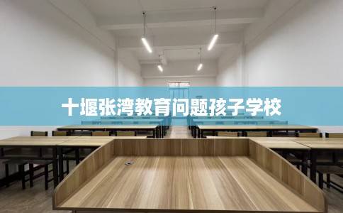 十堰张湾教育问题孩子学校