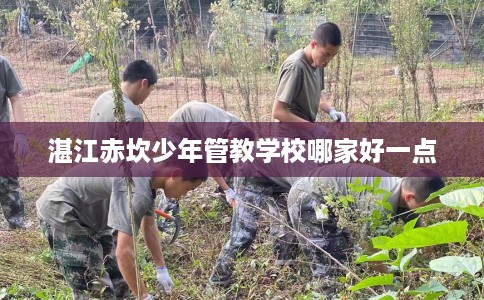 湛江赤坎少年管教学校哪家好一点 湛江赤坎少年管教学校哪家好一点
