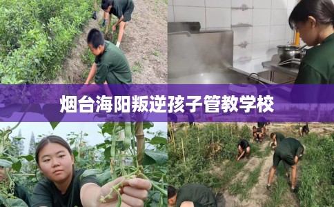 烟台海阳叛逆孩子管教学校 烟台海阳叛逆孩子管教学校