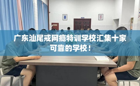 广东汕尾戒网瘾特训学校汇集十家可靠的学校！