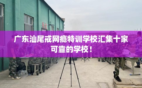 广东汕尾戒网瘾特训学校汇集十家可靠的学校！