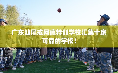 广东汕尾戒网瘾特训学校汇集十家可靠的学校！