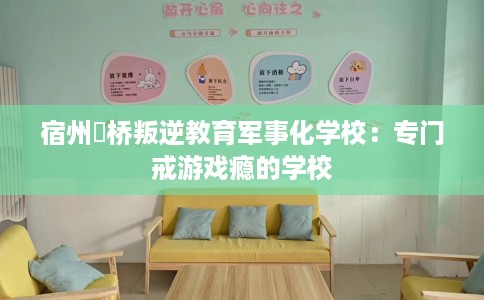 宿州埇桥叛逆教育军事化学校:专门戒游戏瘾的学校 宿州埇桥叛逆教育军事化学校:专门戒游戏瘾的学校