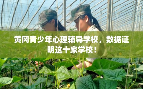 黄冈青少年心理辅导学校，数据证明这十家学校！
