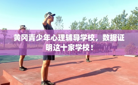 黄冈青少年心理辅导学校，数据证明这十家学校！
