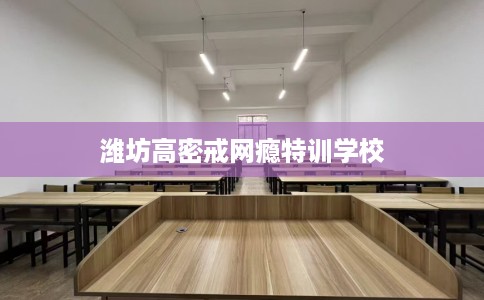 潍坊高密戒网瘾特训学校