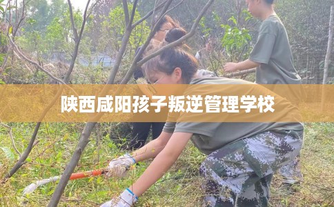 陕西咸阳孩子叛逆管理学校 陕西咸阳孩子叛逆管理学校
