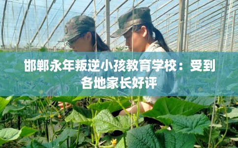 邯郸永年叛逆小孩教育学校：受到各地家长好评